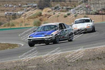 media/May-03-2025-Lucky Dog Racing (Sat) [[206de64b9d]]/Turn 4 B (1150am-130pm)/